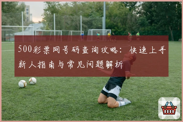 500彩票网号码查询攻略：快速上手新人指南与常见问题解析
