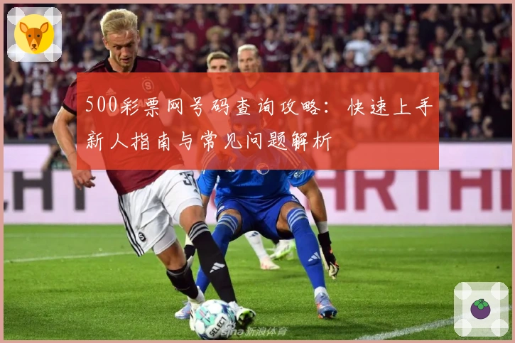 500彩票网号码查询攻略：快速上手新人指南与常见问题解析