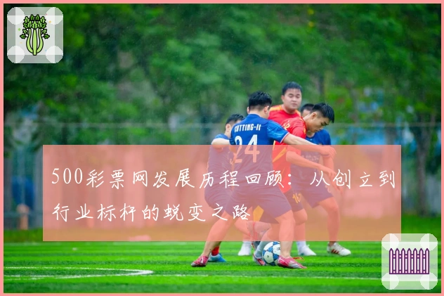 500彩票网发展历程回顾：从创立到行业标杆的蜕变之路