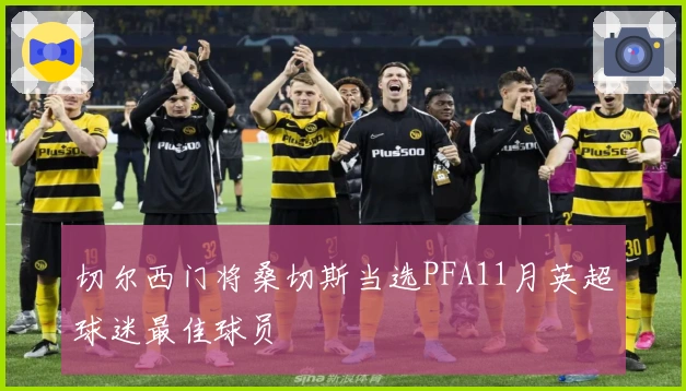 切尔西门将桑切斯当选PFA11月英超球迷最佳球员